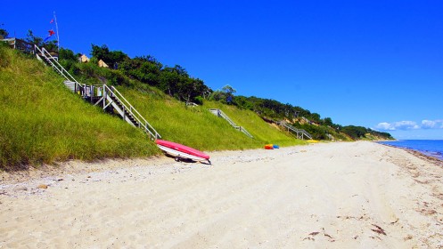 first coastal bluff restoration featured image