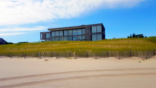 first coastal dune restoration featured image