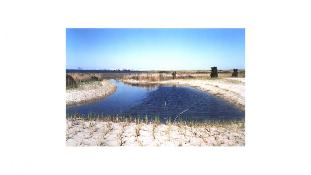 firstcoastal-wetland-1